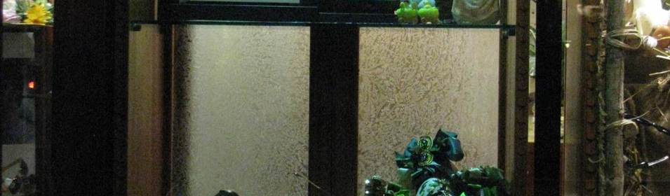 Vetrina 2009 - Pasqua