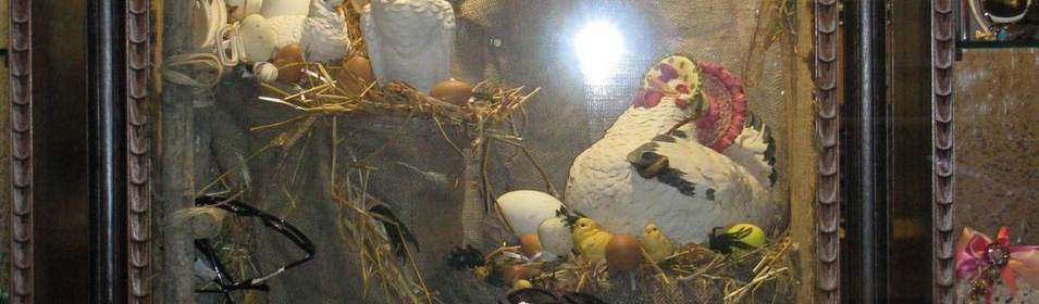 Vetrina 2009 - Pasqua