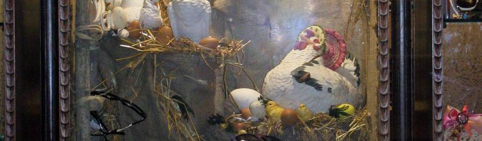 Vetrina 2009 - Pasqua