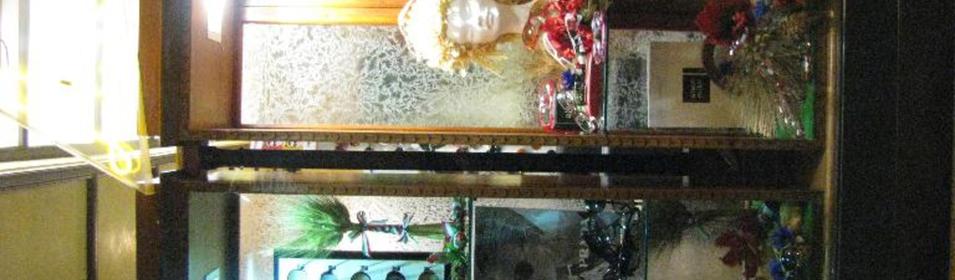 Vetrina 2009 - Grano